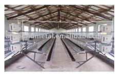 Poultry layer cage automatic