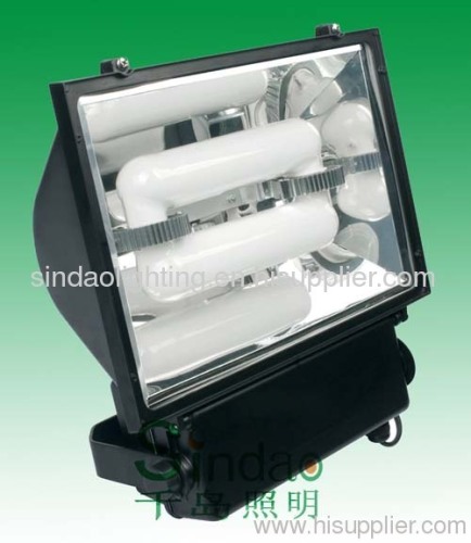 induction lamp & flood light