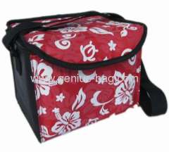 70D Nylon/PVC New Design Cooler/Picnic/Lunch Bag