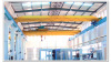 LD Model single girder bridge crane