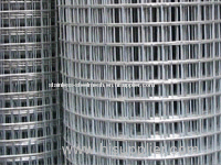 Stainless Steel Welded Wire Mesh