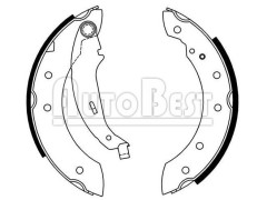 Brake Shoe