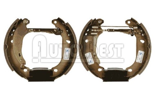 Brake Shoe