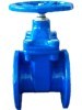 (BS) Cast Iron Gate Valve (NRS)