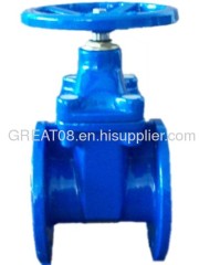 (BS) Cast Iron Gate Valve (NRS)