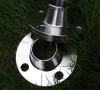 Stainless Steel plunger housing roller