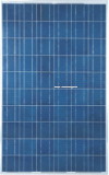 240wp poly solar module