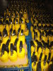 Yellow Portable pressure gas torch