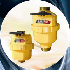 Rotary Piston Volumetric Water Meter