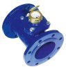 Woltmann Water Meters