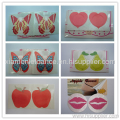 Nipple Covers (www lingerieoffer com)