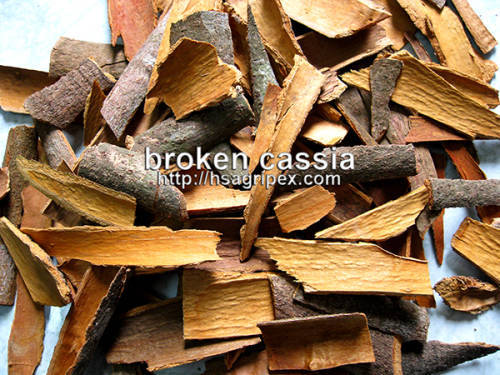 Broken cassia from viet nam good quality