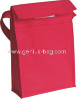 Cooler/Insulated/Lunch Bag
