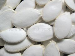 snow white pumpkin seeds