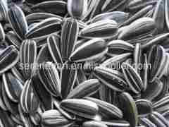 sunflower seeds