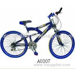 mountain bicycle