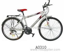 mountain bicycle