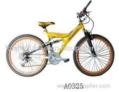 mountain bicycle