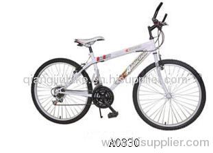 young mountain bicycle