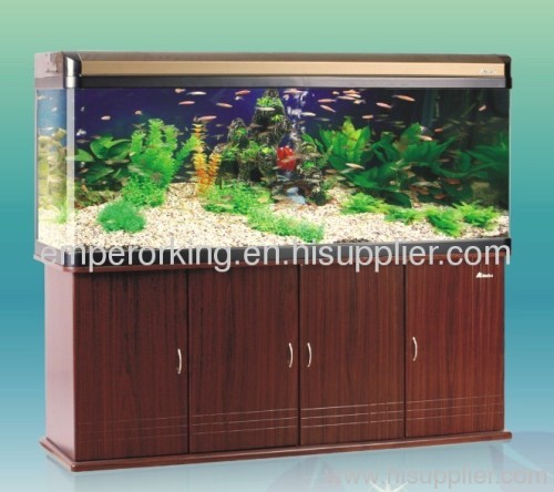 Fish Aquarium