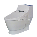 integrated toilet seat