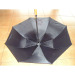 folding umbrella