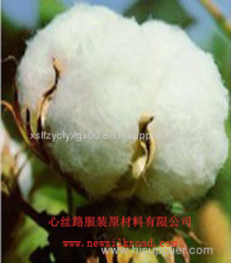 cotton