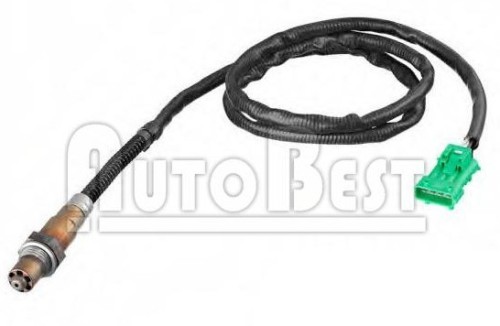 Oxygen Sensor