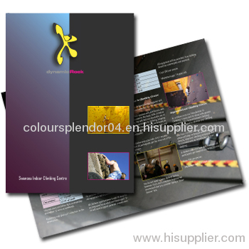 brochure printing services