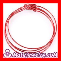 basketball wives plain hoop earrings