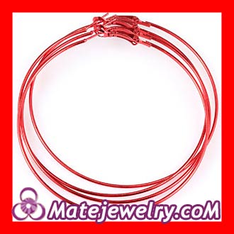 basketball wives plain hoop earrings