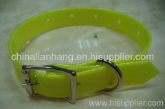 collier de chien en pvc