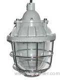 40W Explosion-proof energy-saving lvd induction lighting fixture