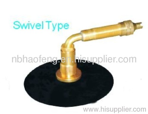 Large bore tubeless tire valve