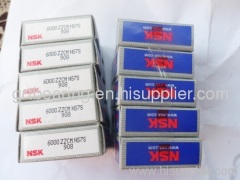 NSK 6000ZZ