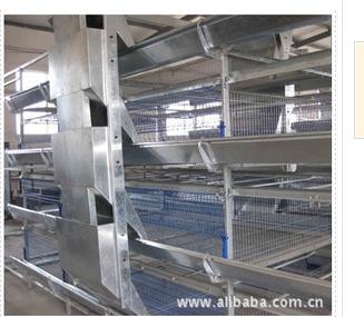 Feeding system for poultry