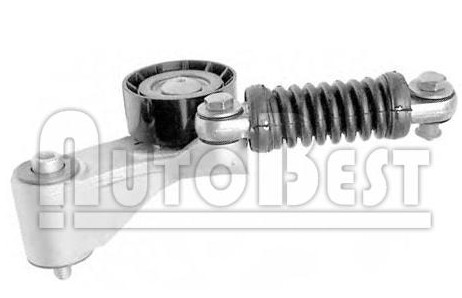 Tensioner Pulley