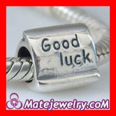 European 925 Sterling Silver Good Luck Bead Charms