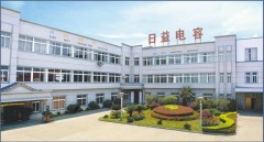 Cixi Riyi Capacitor Factory