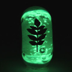 Painted Leaf Fluorescent Panodra Glass Art Beads in 925 Silver Core