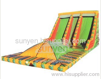 attractive Inflatable Slides