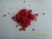 China plastic high performance Pigment Violet 19