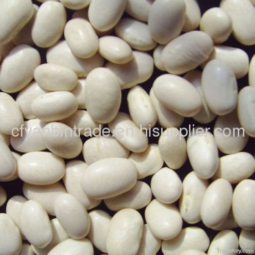 White Kidney Bean