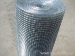 SS Welded Wire Mesh