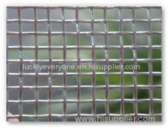 Galvanized Square Wire Mesh