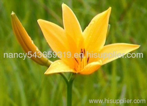 Colchicine