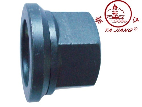 Wheel Nuts With for Heavy Truck and Bus (DIN74361-H)