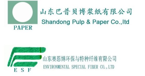 Shandong Pulp and Paper CO. LTD