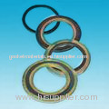 Spiral Wound Gasket spirotallic gasket