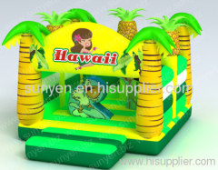Hawaii Bouncer